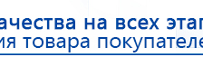СКЭНАР-1-НТ (исполнение 02.2) Скэнар Оптима купить в Глазове, Аппараты Скэнар купить в Глазове, Дэнас официальный сайт denasdoctor.ru